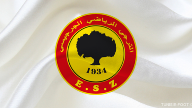 Logo ESZ