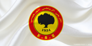 Logo ESZ